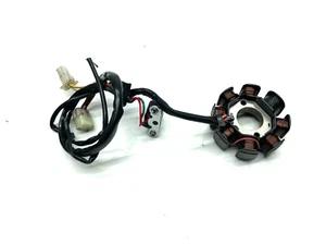 ALTERNADOR IMÁN ORIGINAL PARA HUSQVARNA 450 TE 4T 2005-2006-2007-2008 - Imagen 1 de 5