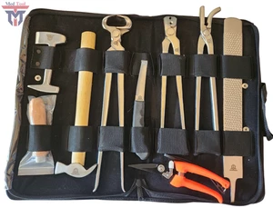 Professional Horse Farrier Tool Kit Hoof Clincher Nipper RASP Hammer Knife Shoe - Picture 1 of 3