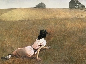 SIGNED - ANDREW WYETH : A Spoken Self-Portrait by Richard Meryman (2013, HC) - Picture 1 of 20