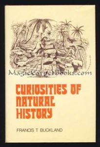 CURIOSITIES OF NATURAL HISTORY Nature ANIMALS Frogs RATS Snakes FISH Monkeys - Foto 1 di 1