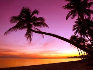 V2501 Tropical Paradise Sunset Palm Tree Beach Sea Decor WALL POSTER PRINT UK - Picture 1 of 13
