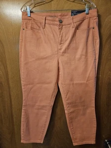 Talbots Jeans Damen 12 P High Waist Jegging Crop Reißverschluss Pfirsich Orange Neu mit Etikett - Bild 1 von 4