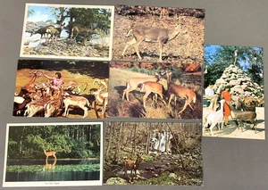 # T5958 HIRSCH POSTKARTEN LOT, 7 DIF. KARTEN - Bild 1 von 2
