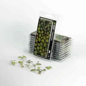 Gamers Grass Laser Plants - Monstera New - Picture 1 of 4