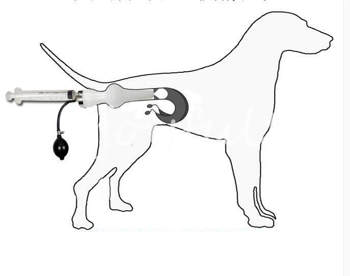 Professional Dogs Artificial Insemina Syringe Dog Imitation Natural Mating Tool - Image 1 of 1