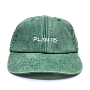 Gorra de béisbol clásica de culto lavada bordada para papá | En muy buen estado | Gorra de papá con tirantes y2k - Imagen 1 de 12