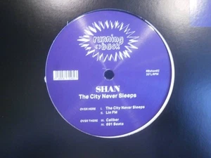 SHAN/ THE CITY NEVER SLEEPS /VICTOR SHAN/RUNNING BACK/GERD JANSON/DEEP HOUSE/ACI - Picture 1 of 3