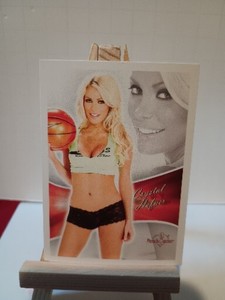 2013 Bench Warmer Bubble Gum #7 Crystal Hefner