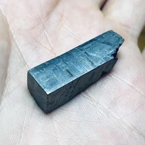 14,6g Muonionalusta Meteoritenscheibe TC613 - Bild 1 von 6