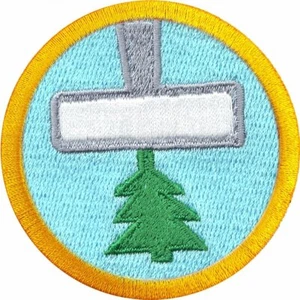 Vehicle Cleanliness Wilderness Scout Merit Badge Iron on Patch - Picture 1 of 1