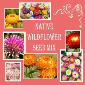 NATIVE AUSTRALIAN WILDFLOWER SEEDS MIX -COTTAGE GARDEN-EASY GROW GARDEN PLANTS - Picture 1 of 6