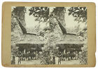 Antique Oceanic Tribal Stereoview Card Photographic Image Bismarck PNG - PH2