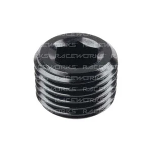 Raceworks Npt Plug 1/8" - Picture 1 of 1