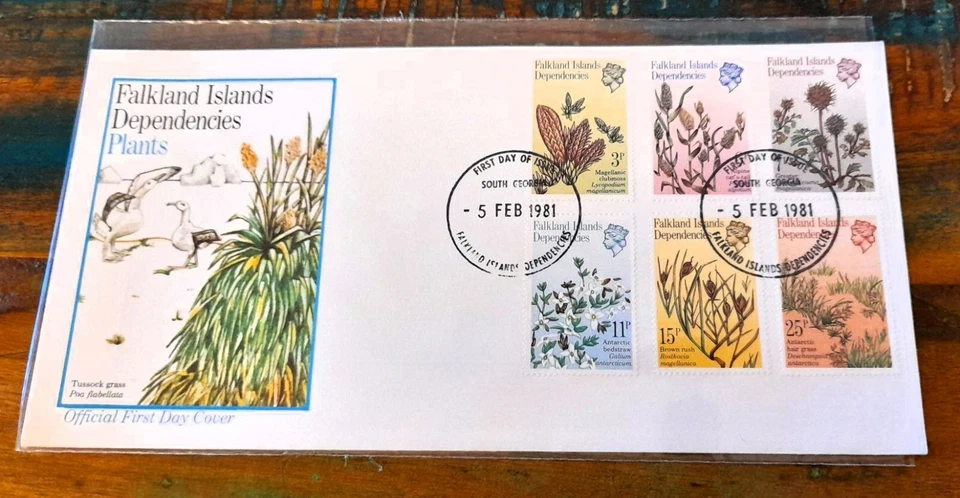 Falkland Islands 1981 cubierta de primer día FDC dependencias plantas Foto 1 de 1