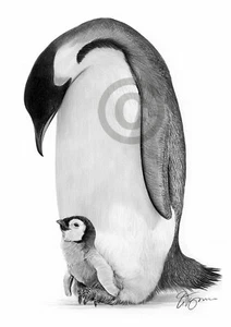 KAISER PINGUIN Bleistiftzeichnung Kunstdruck A3 / A4 Größen signiert vom Künstler Vogel - Bild 1 von 1