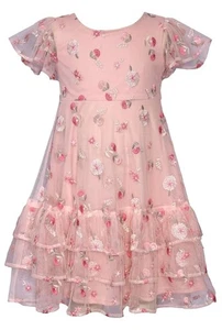 NEW Bonnie Jean Girls Size 7 "ROSE PINK EMBROIDERED" Floral Mesh Dress NWT - Picture 1 of 3