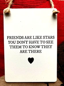 Besondere Freunde Metall Geschenk Schild Geburtstag sentimental Bestie Geschenk Herz 9x 6,5cm - Bild 1 von 3