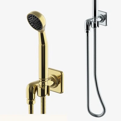 Waterworks Ducha de Mano y Gancho Latón Y Cromo Usado Foto 1 de 4