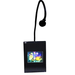 FLOWERS Hologram Picture LIGHTED DESK STAND, 3D Embossed Animated Stereogram - Picture 1 of 7