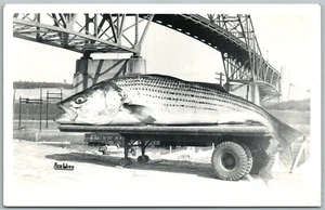 FISHING EXAGGERATED VINTAGE REAL PHOTO POSTCARD RPPC MONUMENT BEACH MA - Picture 1 of 2