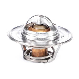 AGCO (OEM) 1446165M91 Thermostat (Twin) for Diesel Massey Ferguson and Challenge - Picture 1 of 1