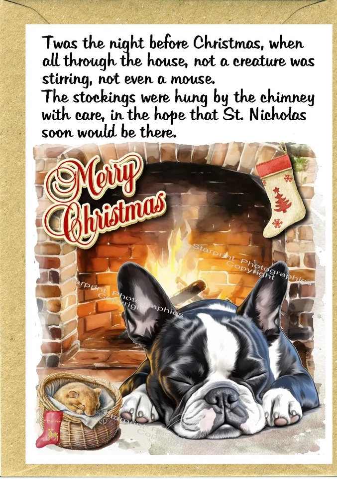 Boston Terrier Dog A6 (4" x 6") Christmas Card - Blank inside - by Starprint