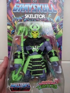 Figura Skeletor Turtles Of Grayskull Motu Masters Of The Universe Mattel - Imagen 1 de 3