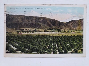 Cartolina 1921 Orange Groves & Mountains Los Angeles California - Foto 1 di 2