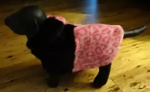 Hundemantel rosa Kunstfell Animalprint Größe XS Designer Hundekleidung - Bild 1 von 12