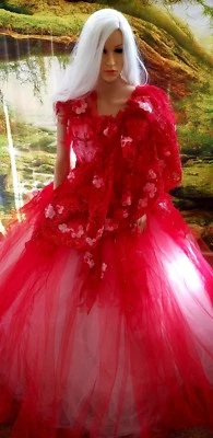 Conjunto de vestido de fiesta de novia de encaje y tul inspirado en Lehenga indio PRISHA Foto 1 de 4