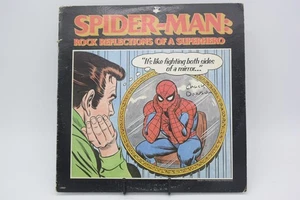 Spider-Man Rock Reflexionen eines Superhelden Vinyl-Schallplatte spielt großartig '75 Stan Lee - Bild 1 von 4