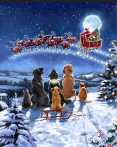 Christmas Snow Dogs Sled Fabric 36" Panel Midnight Meeting David Textiles Cotton - Picture 1 of 1