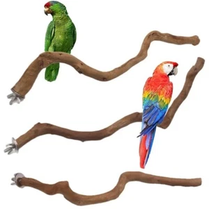 Natural Parrot Perch Bird Stand Tree Stick Paw Grinding Fork Parakeet Climbing - Picture 1 of 7
