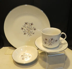 Nuevo en caja Juego de 4 piezas International Ironstone, Salem China "Whimsey", ¡NUEVO EN CAJA! - Imagen 1 de 10