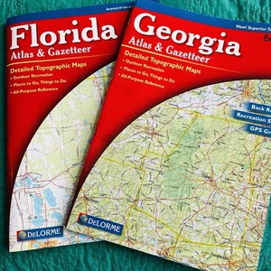Lote 2 Florida Georgia Atlas & Gazetteer Delorme Guide 2006 mapas topográficos carreteras traseras - Imagen 1 de 12