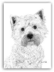 WEST HIGHLAND WHITE/ WESTIE CLOSE UP BLANK CARD - From Original Artists Drawing - Picture 1 of 2