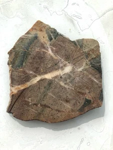 10oz Ouray CO Brecciated Jasper Quartz Slab Rough Lapidary Cabbing Stone Mineral - Picture 1 of 7