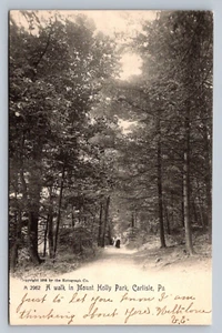Postcard Pennsylvania Carlisle Mount Holly Park Rotograph UDB 1906 G448 - Picture 1 of 2