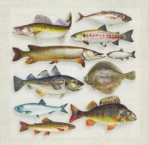 T055# 3 servilletas de papel individuales decoupage varios peces aspecto natural patrón de trucha - Imagen 1 de 11