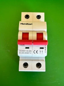 Hamilton 100A zweipoliger Hauptschalter Trenner - Brandneu - Bild 1 von 4
