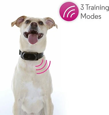 Motorola SCOUTBARK100 No Bark Dog Collar, Warning Tone, Vibration and 9 Levels - Image 1 of 4