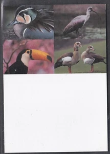 UNITED NATIONS MNH 2003 3 MAXI CARDS ENDANGERED BIRD SPECIES 3 OFFICES - Picture 1 of 4