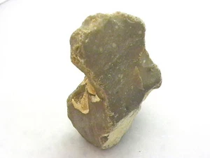 238 Gramm grober natürlicher mehrdimensionaler Muster und Farben Feuerstein Gestein FEUERSTEIN Stein - Bild 1 von 12