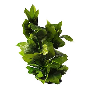Large Leaf Silk Plant Plastic Aquarium Foliage Plant, Fish Safe 13 Inch Tall - Picture 1 of 8