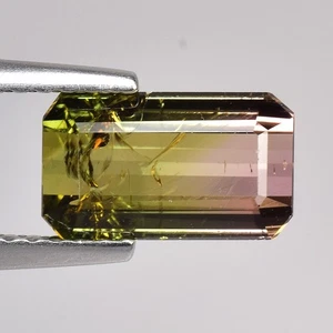 ¡1.90ct! 100% Natural Sandía Bi Color Turmalina, Piedra Preciosa Suelta. ¡Venta caliente! - Imagen 1 de 4