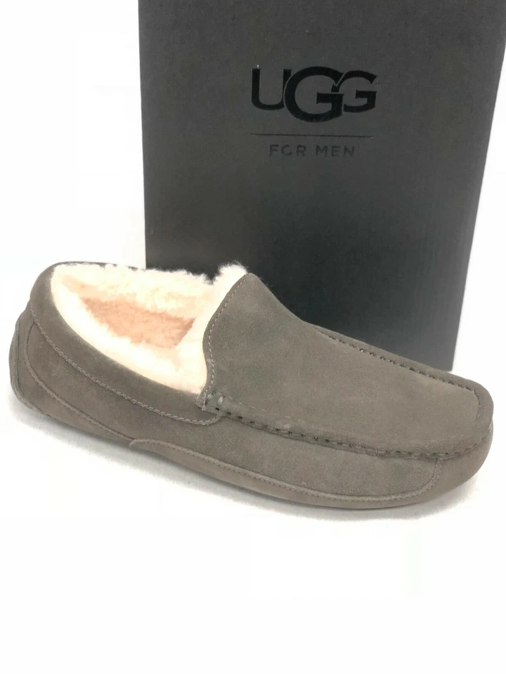 UGG 男式 Ascot 拖鞋 1101110 鞋羊皮麂皮绒多种颜色 — 第 1/3 张图片