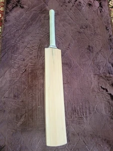 Pioneer "PLAIN" Cricket Bat Brand New - Picture 1 of 4