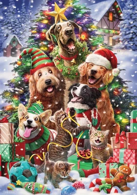 Christmas Pets Advent Calendar (Countdown to Christmas) by  - Open a Window for  - Image 1 of 4