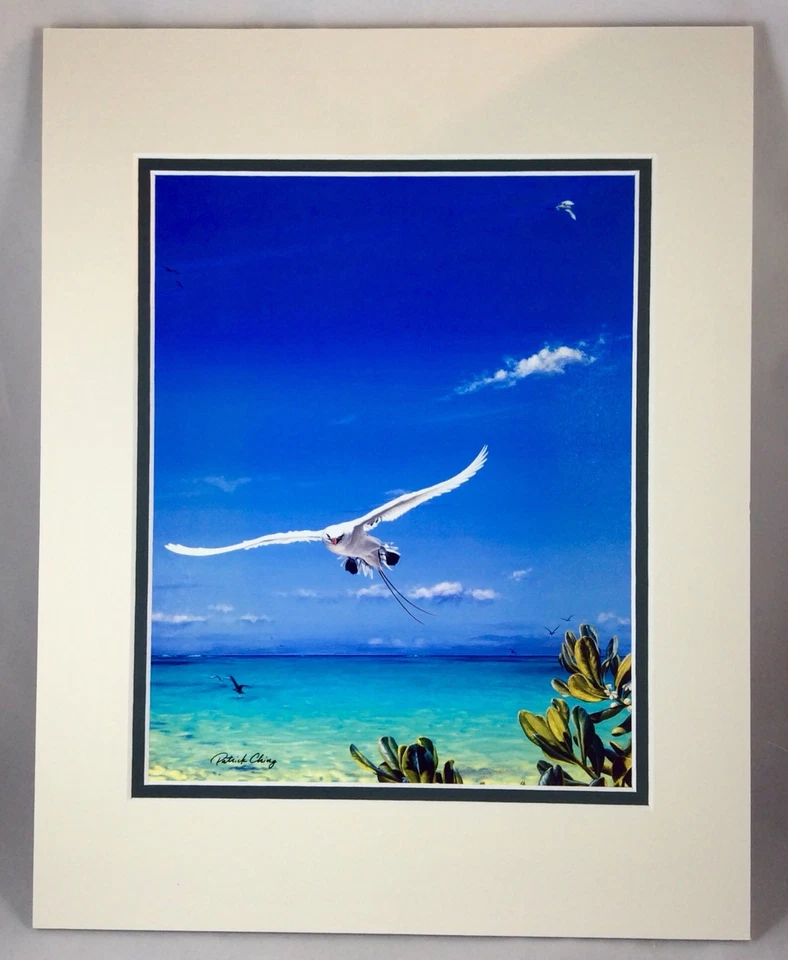 (TROPICBIRD)print By Patrick Ching,A Red-tailed Tropicbird Hovers Over Lagoon. - Image 1 of 3