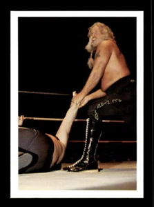 1988 Wonderama NWA #33 Jimmy Valiant - Picture 1 of 2